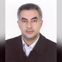 محمد حسنی