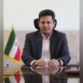 رامین رزمی